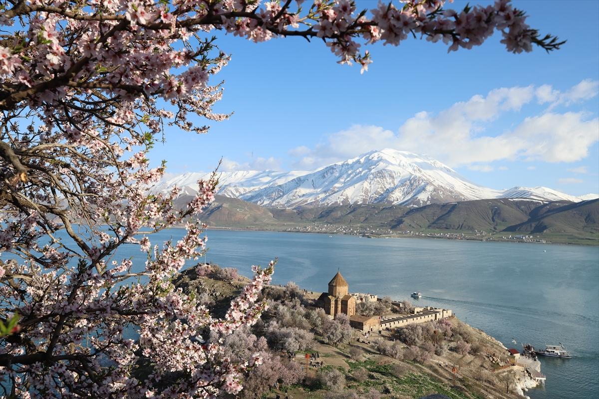Van Gölü'nde ağaçlar çiçek açtı: Kıyılar baharın renklerine büründü