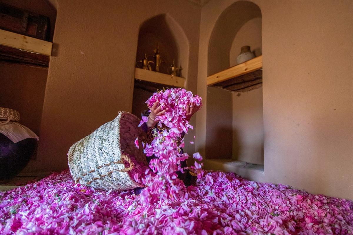 Umman'da gül hasadından renkli görüntüler ortaya çıktı