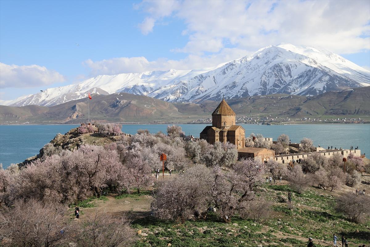 Van Gölü'nde ağaçlar çiçek açtı: Kıyılar baharın renklerine büründü