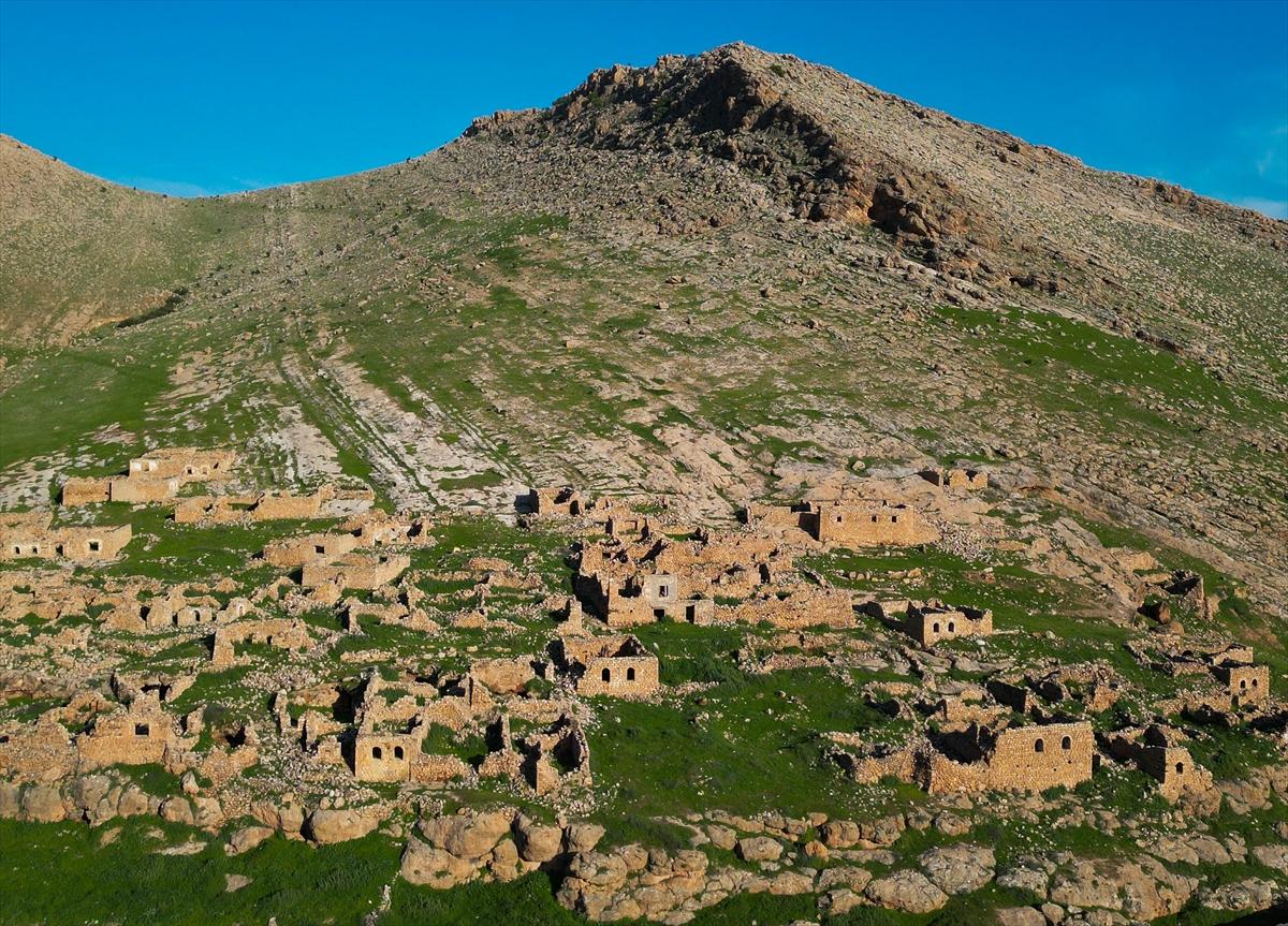 Mardin'e bahar geldi: Eşsiz güzelliği hayran bıraktı