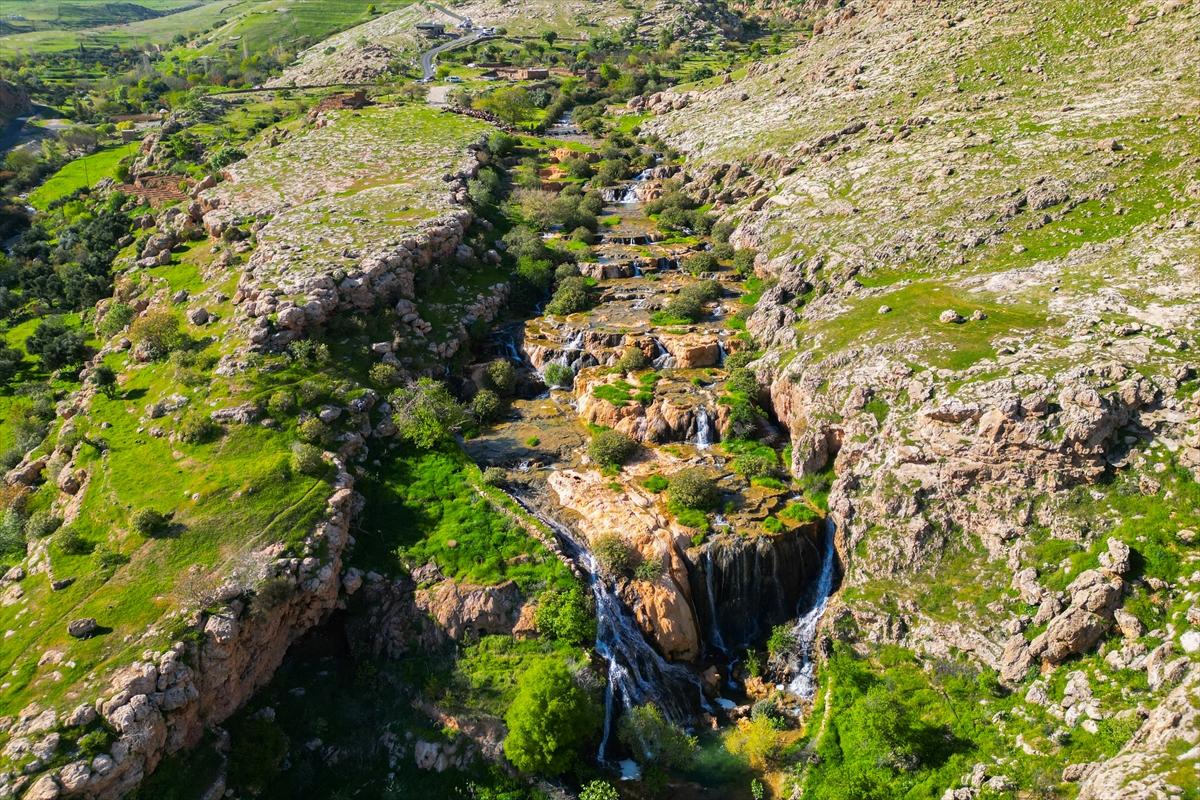 Mardin'e bahar geldi: Eşsiz güzelliği hayran bıraktı