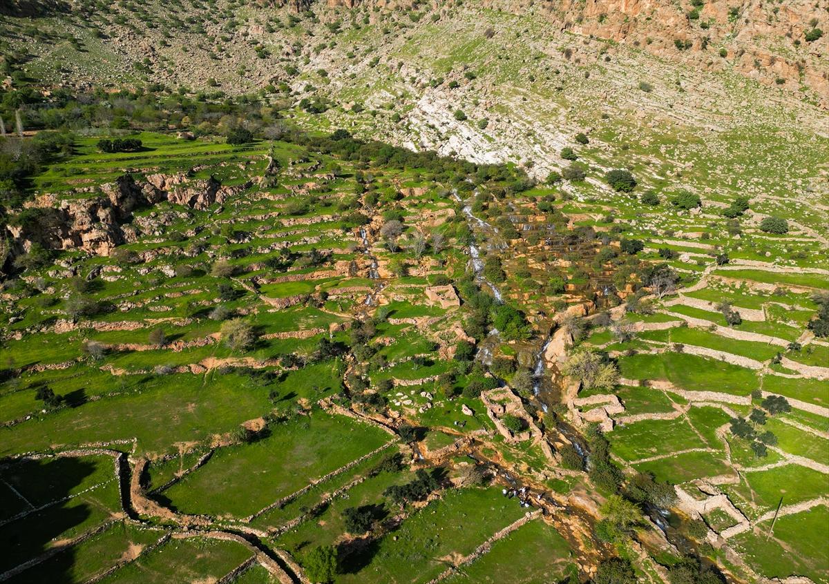 Mardin'e bahar geldi: Eşsiz güzelliği hayran bıraktı