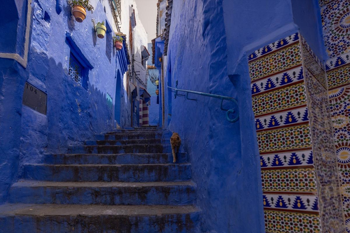Fas'ın mavi şehri: Şafşavan'dan eşsiz manzaralar