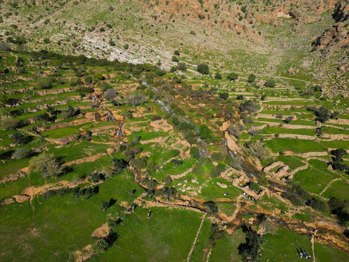 Mardin'e bahar geldi: Eşsiz güzelliği hayran bıraktı