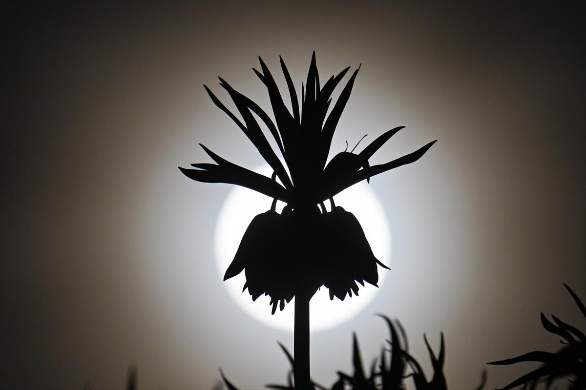 Van'da geceyi dolunay aydınlattı