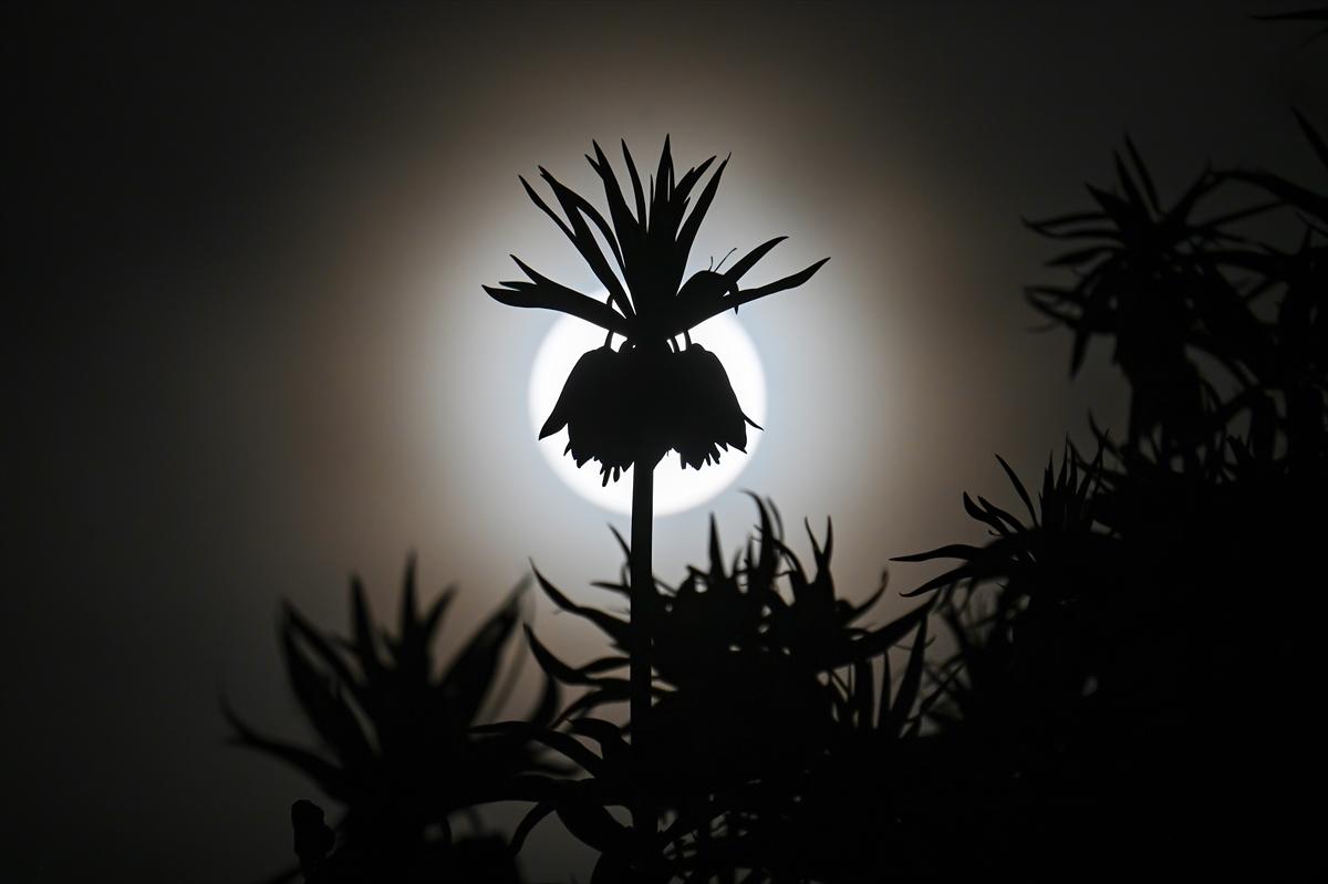 Van'da geceyi dolunay aydınlattı