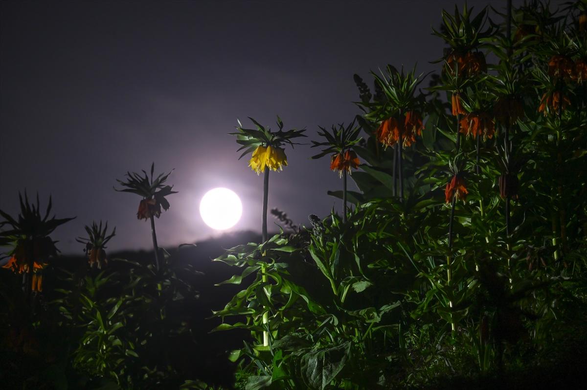 Van'da geceyi dolunay aydınlattı