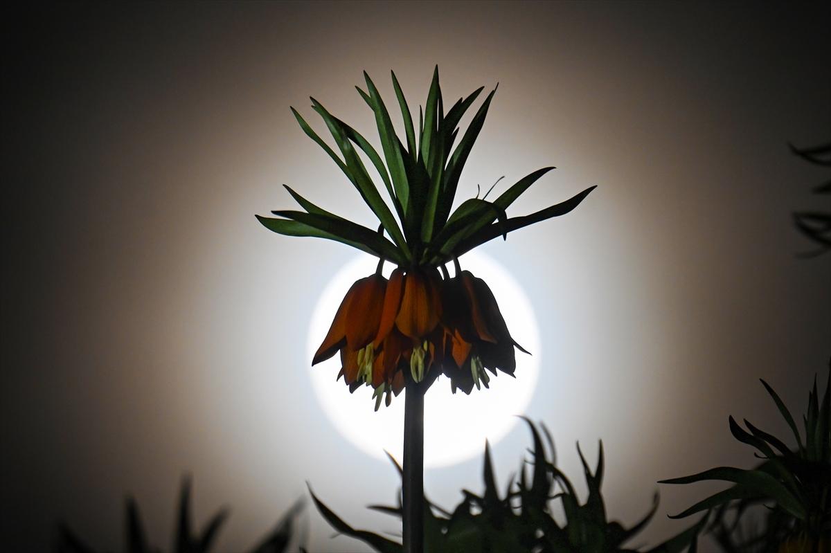 Van'da geceyi dolunay aydınlattı