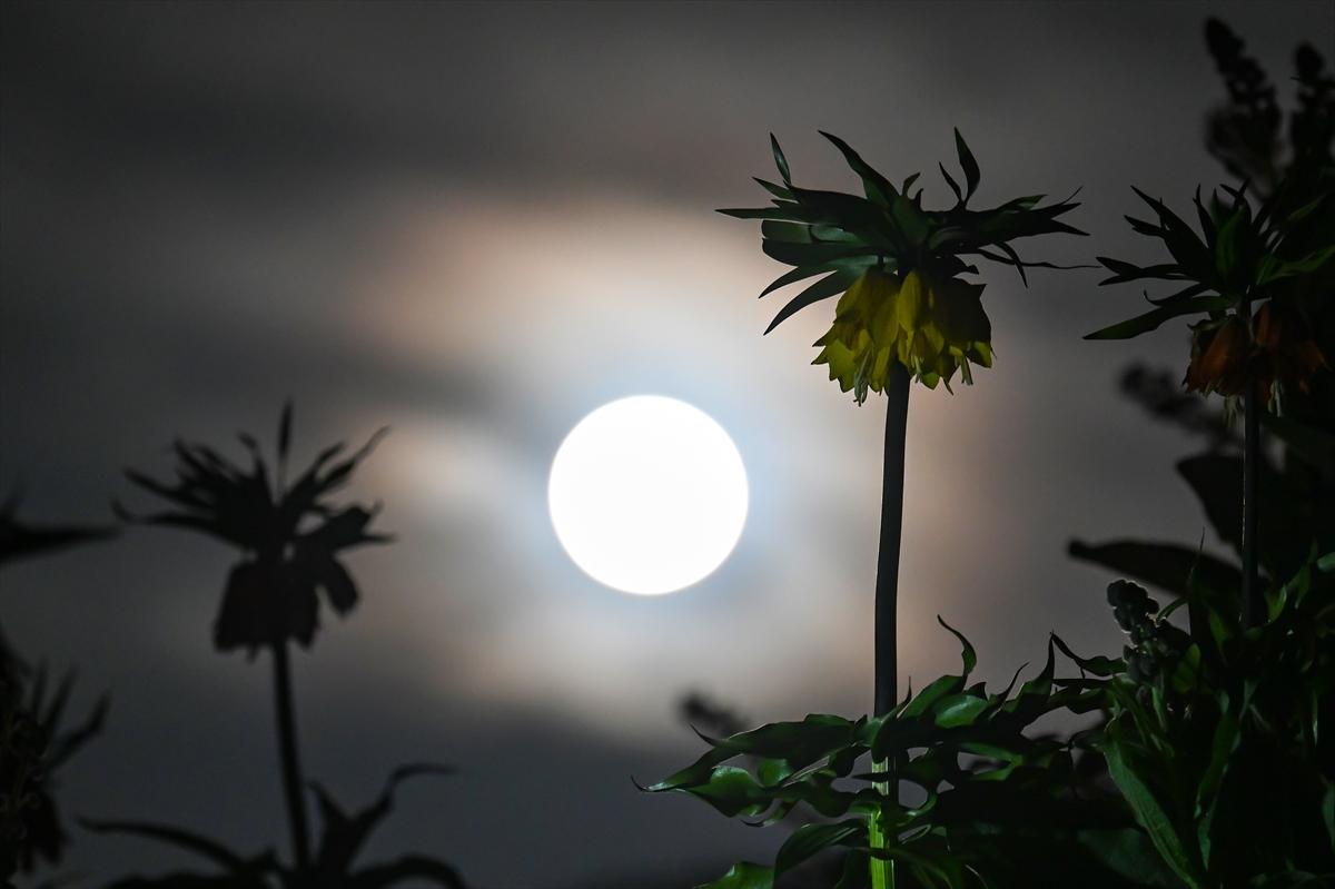 Van'da geceyi dolunay aydınlattı