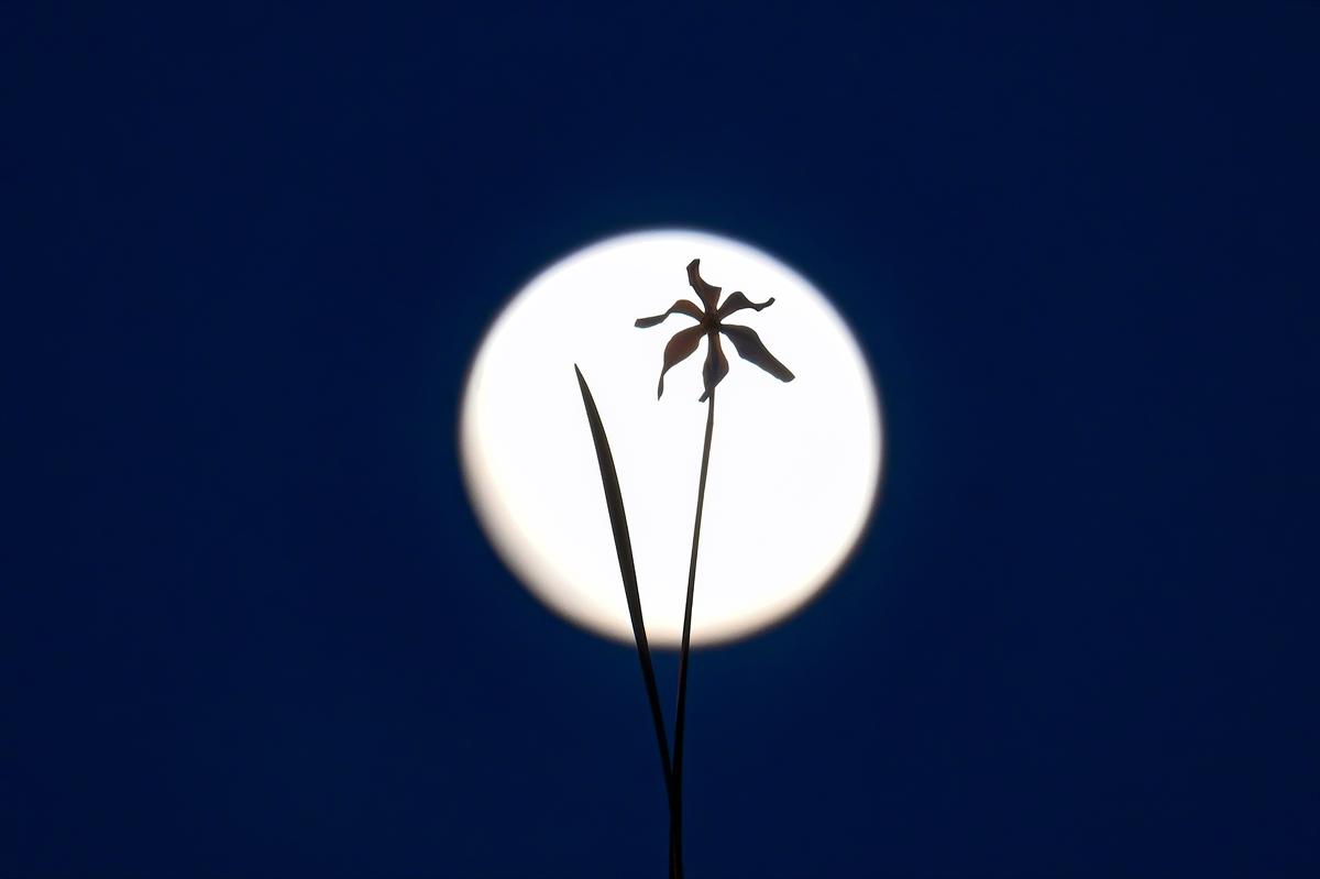 Van'da geceyi dolunay aydınlattı
