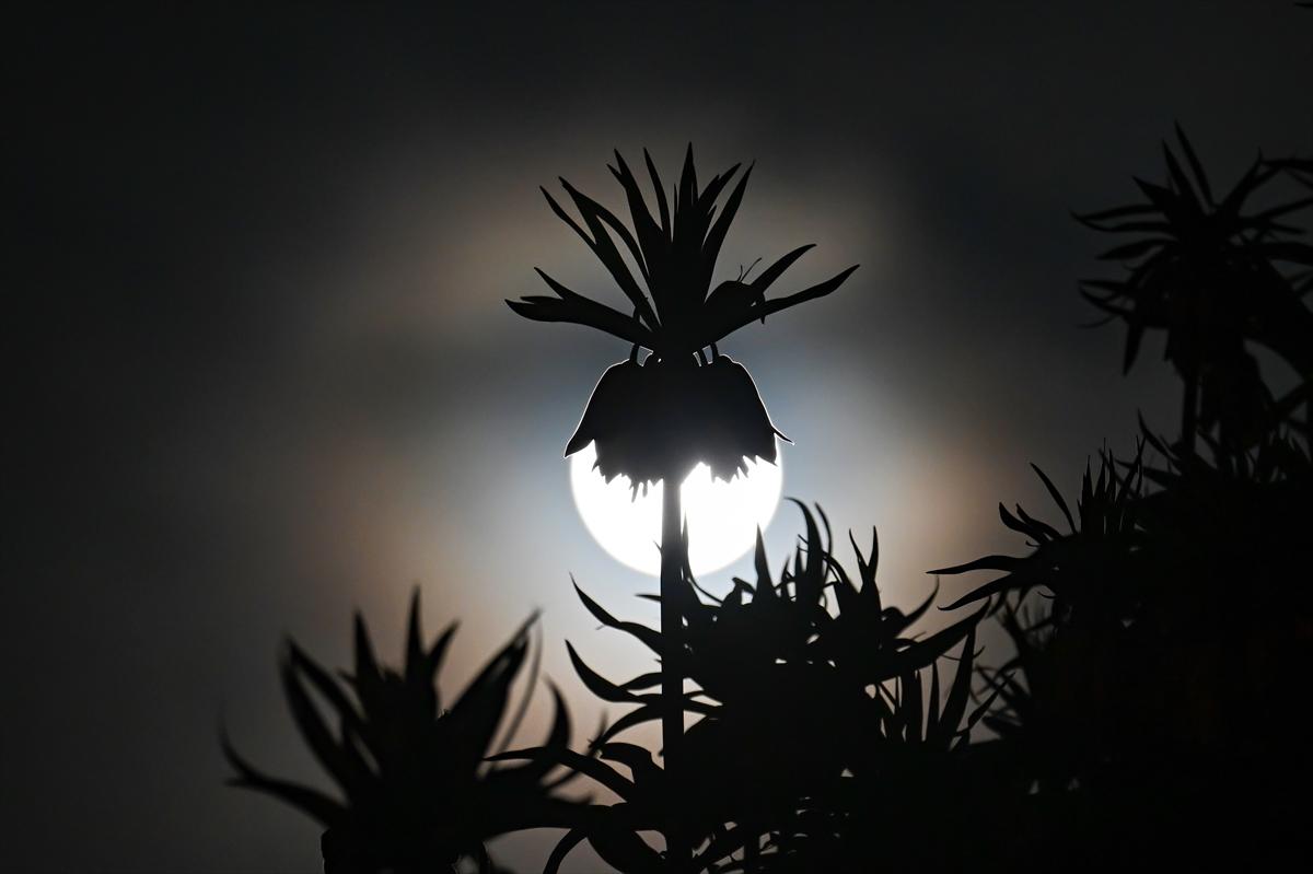 Van'da geceyi dolunay aydınlattı