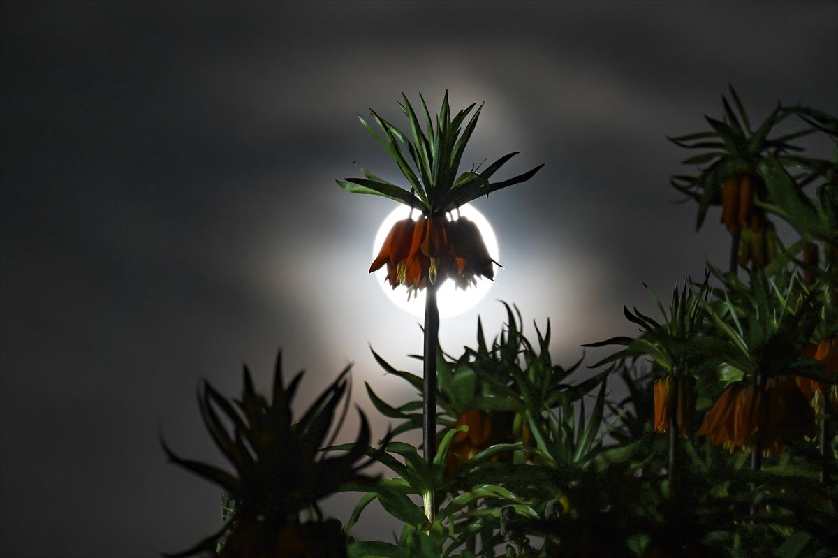 Van'da geceyi dolunay aydınlattı