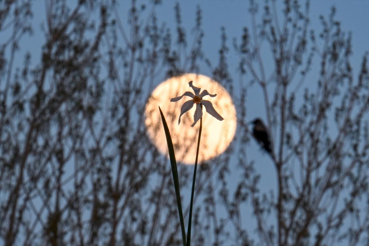 Van'da geceyi dolunay aydınlattı