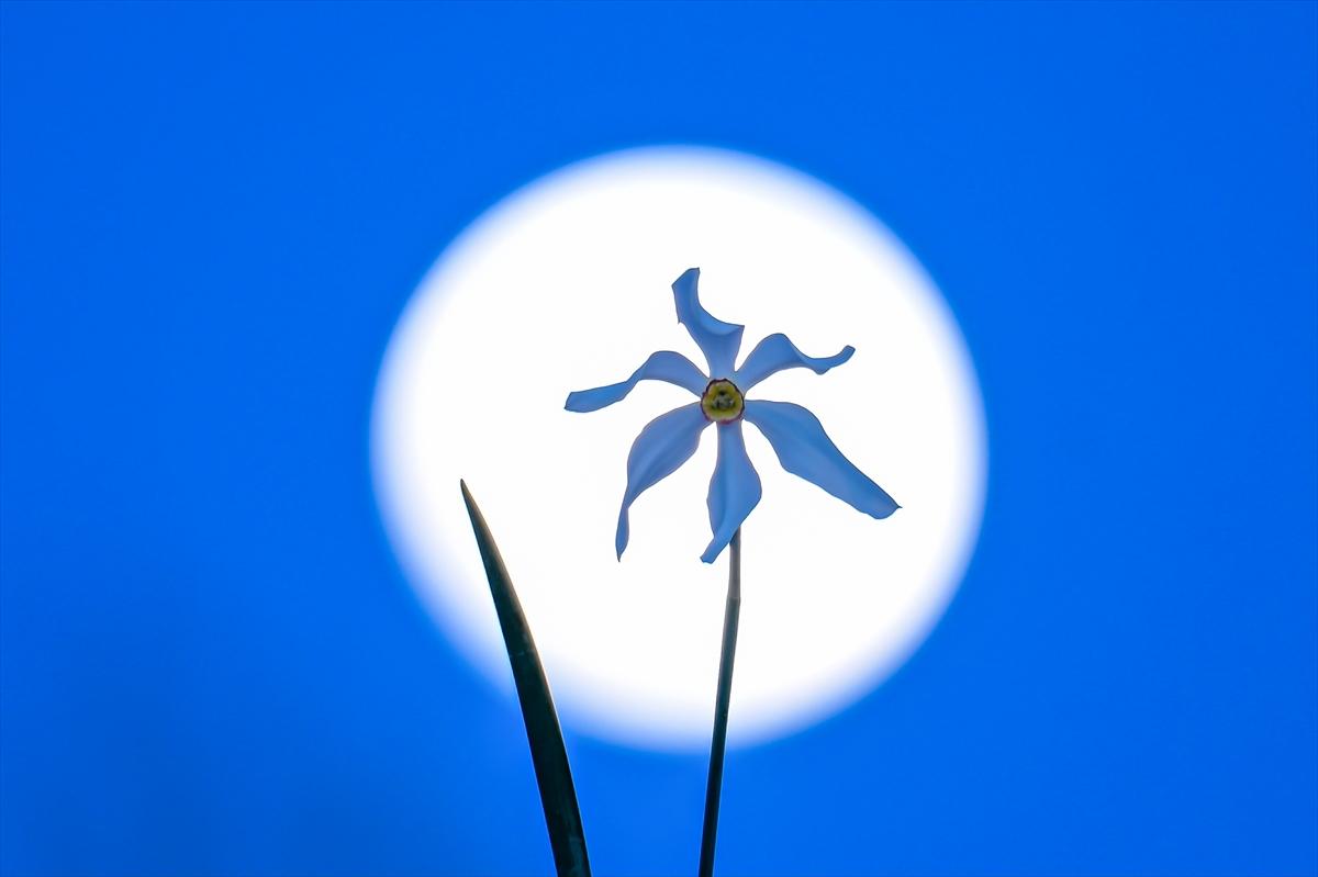 Van'da geceyi dolunay aydınlattı