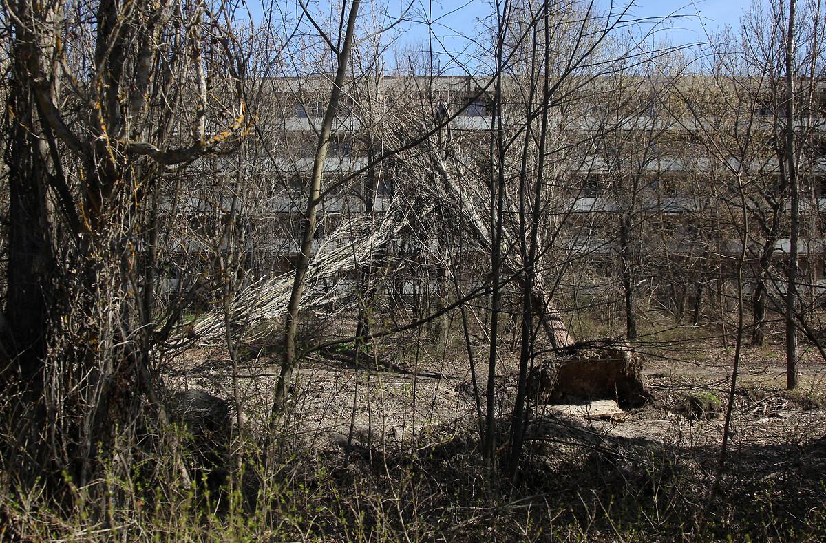 Çernobil nükleer felaketi üzerinden 38 yıl geçti