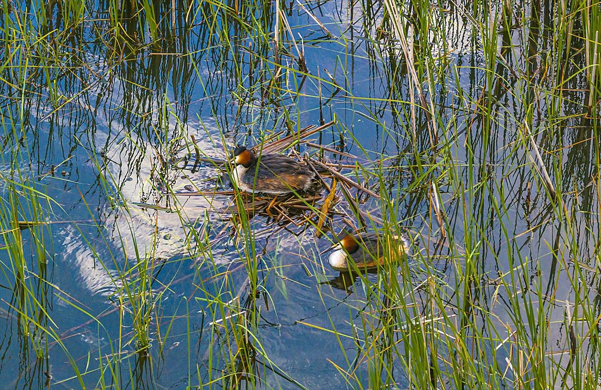 Isparta'da yeşile büründü: Kovada gölü eşsiz manzarasıyla büyülüyor