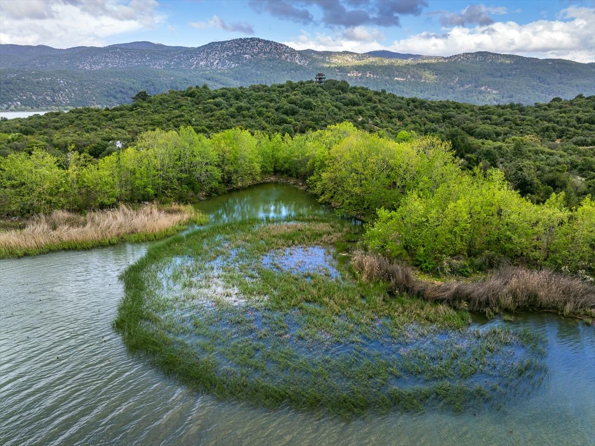 Isparta'da yeşile büründü: Kovada gölü eşsiz manzarasıyla büyülüyor