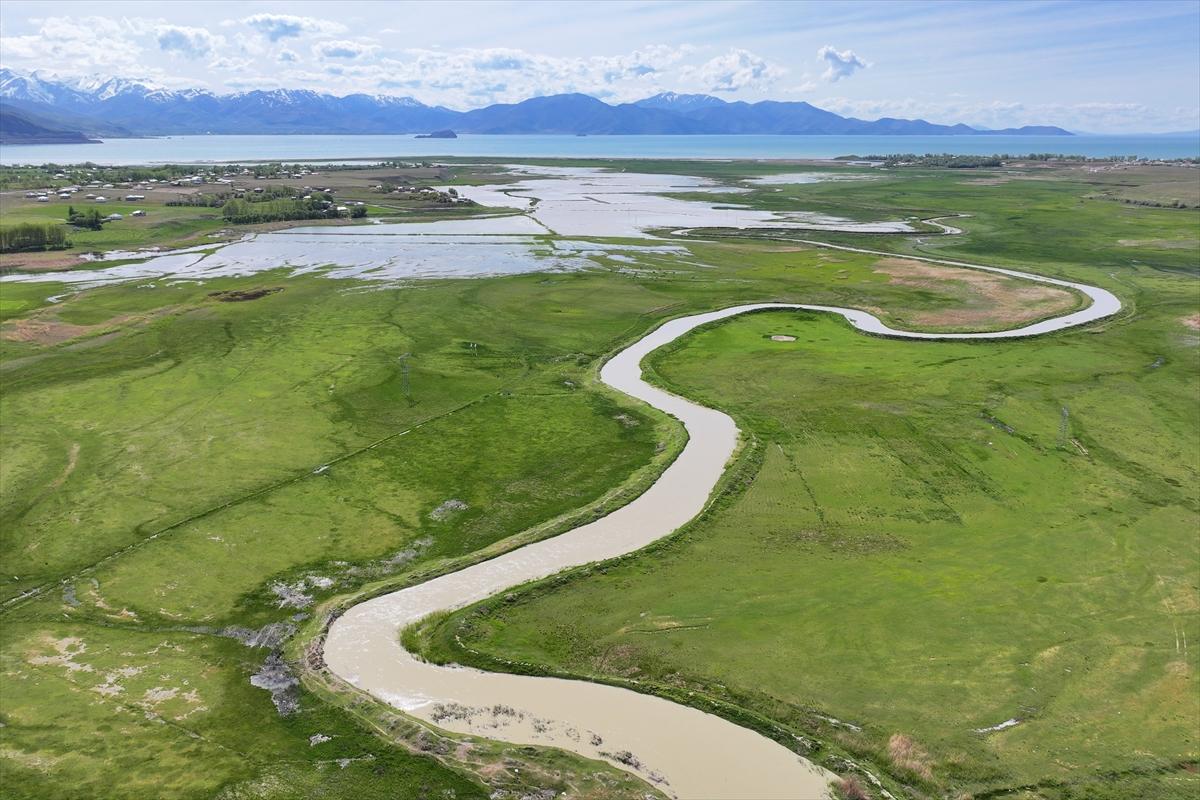 Suların çekildiği Van Gölü'nde yağış etkisi: Yağmur su kaynaklarına yaradı