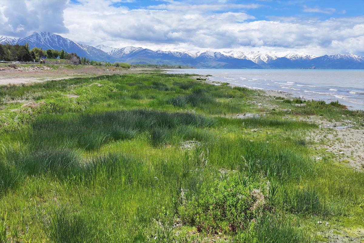 Suların çekildiği Van Gölü'nde yağış etkisi: Yağmur su kaynaklarına yaradı