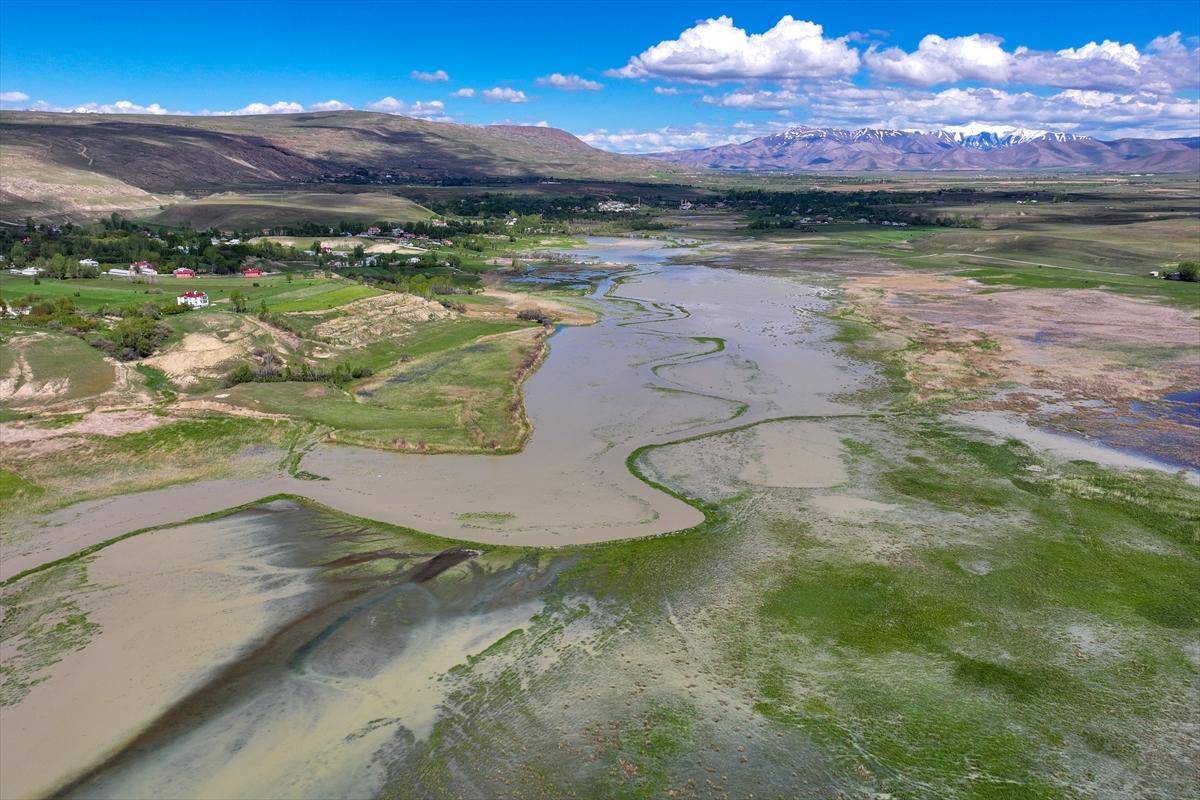 Suların çekildiği Van Gölü'nde yağış etkisi: Yağmur su kaynaklarına yaradı
