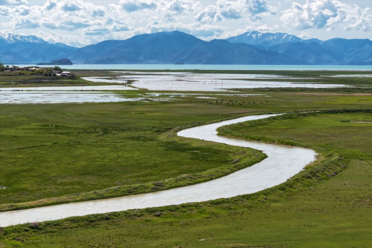 Suların çekildiği Van Gölü'nde yağış etkisi: Yağmur su kaynaklarına yaradı