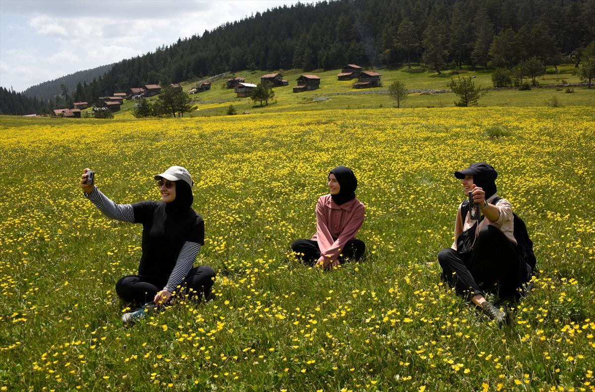 Kastamonu'ya bahar geldi: Yaylalar yeşile büründü