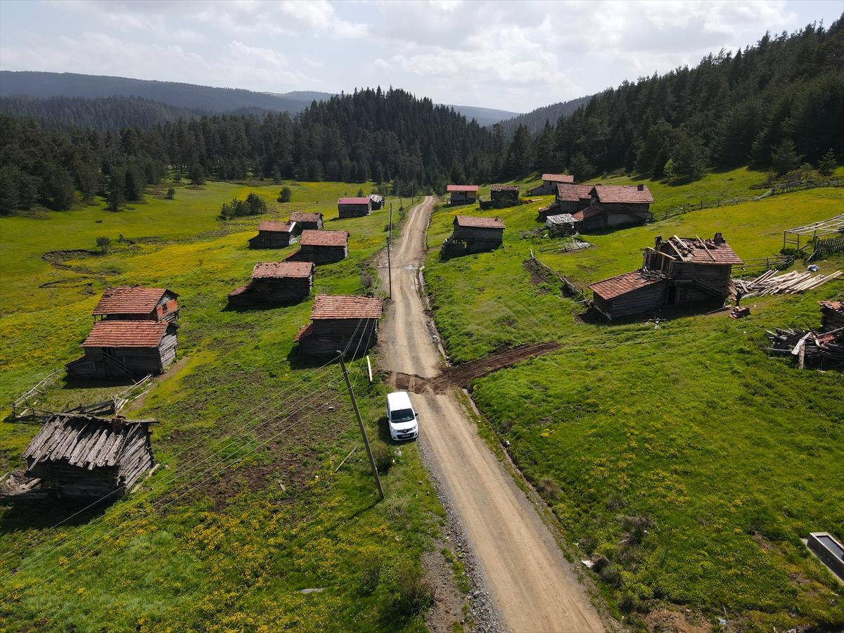 Kastamonu'ya bahar geldi: Yaylalar yeşile büründü