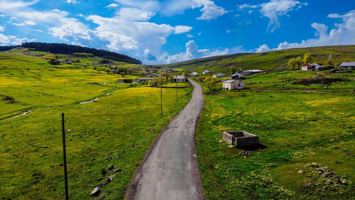 Ardahan'ın köylerine bahar geldi