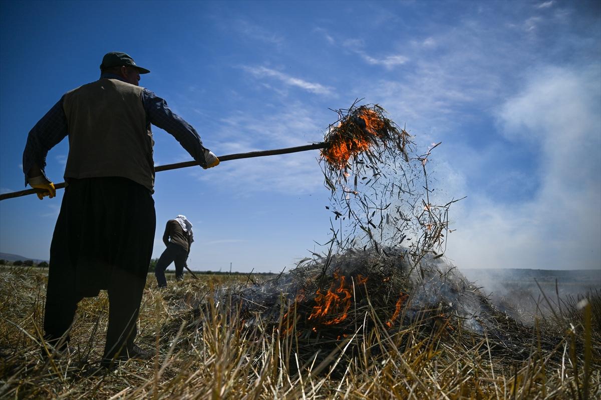 Gaziantep'te coğrafi işaretli firik bulgurunun zorlu yolculuğu başladı