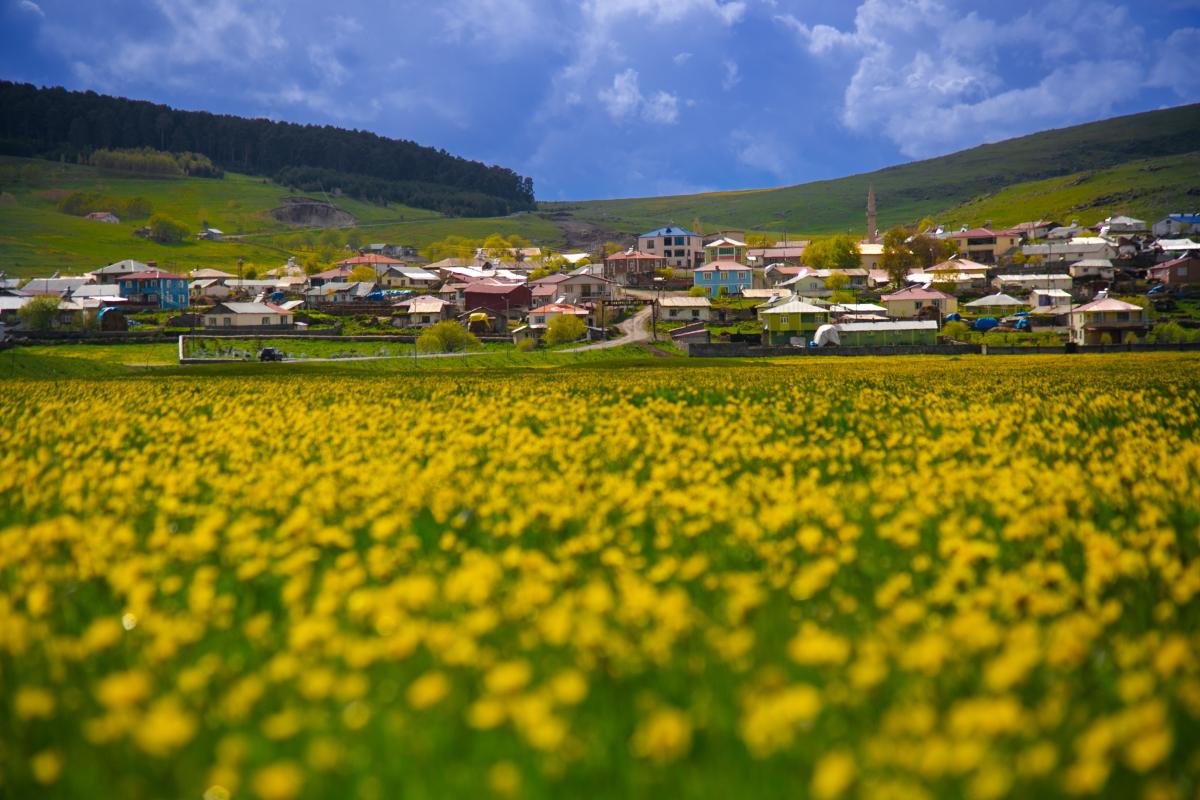Ardahan'ın köylerine bahar geldi