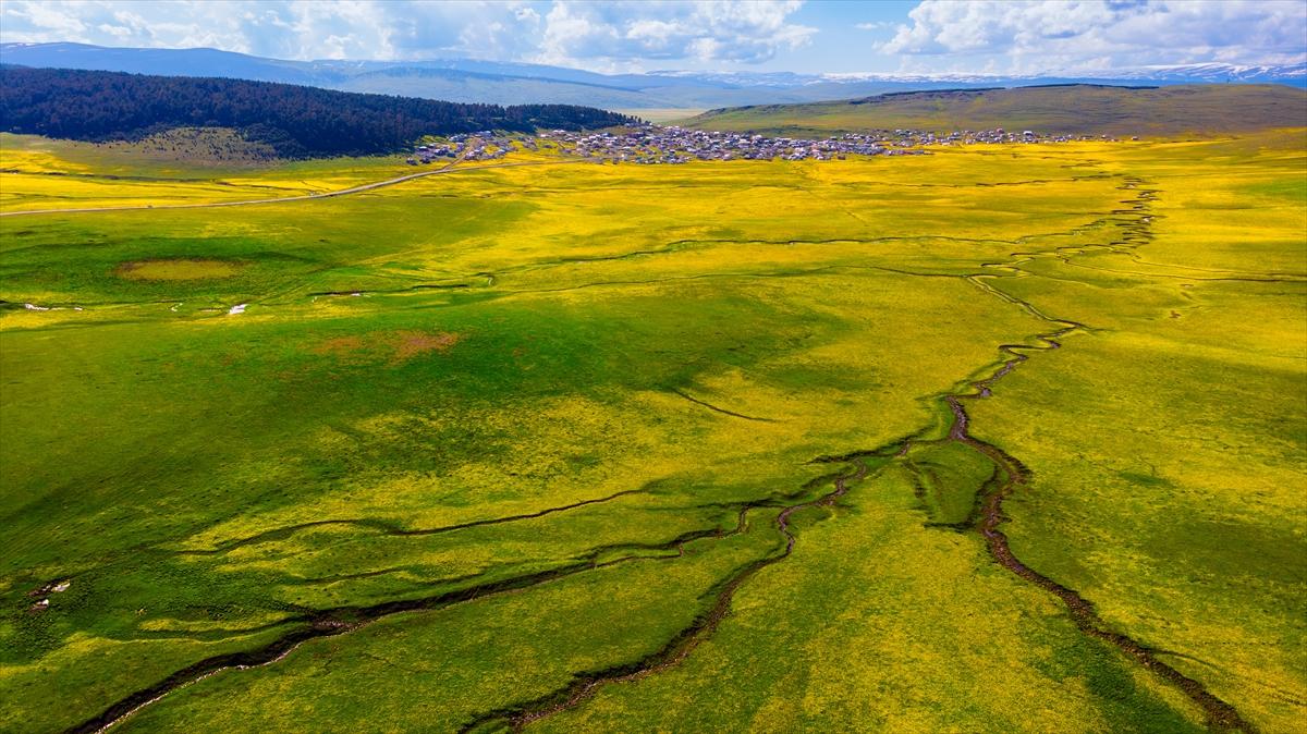 Ardahan'ın köylerine bahar geldi