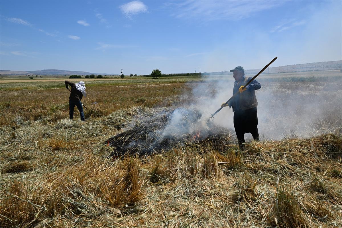 Gaziantep'te coğrafi işaretli firik bulgurunun zorlu yolculuğu başladı