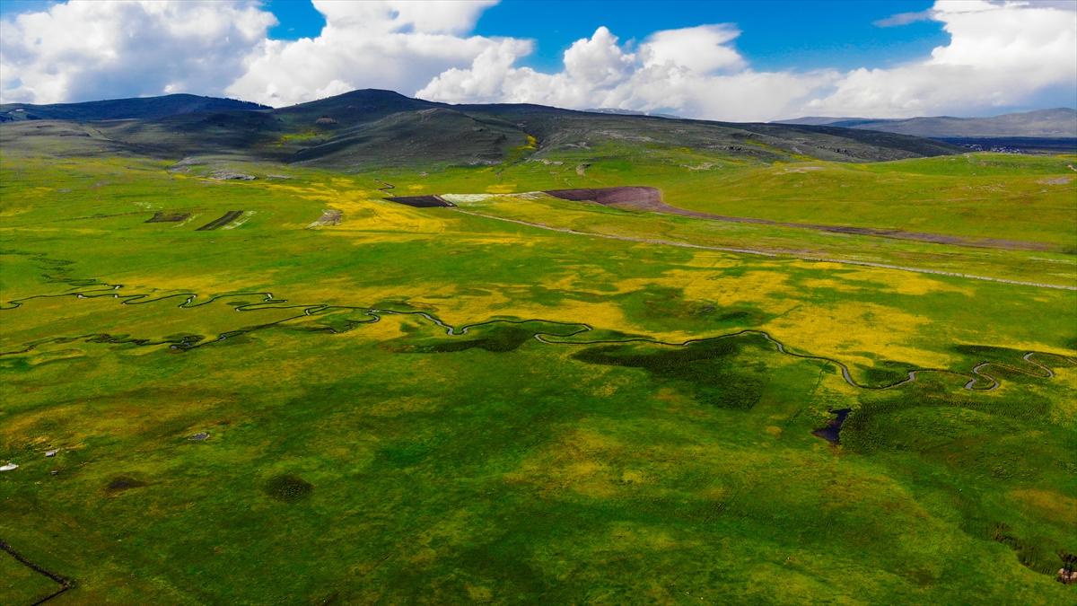 Ardahan'ın köylerine bahar geldi