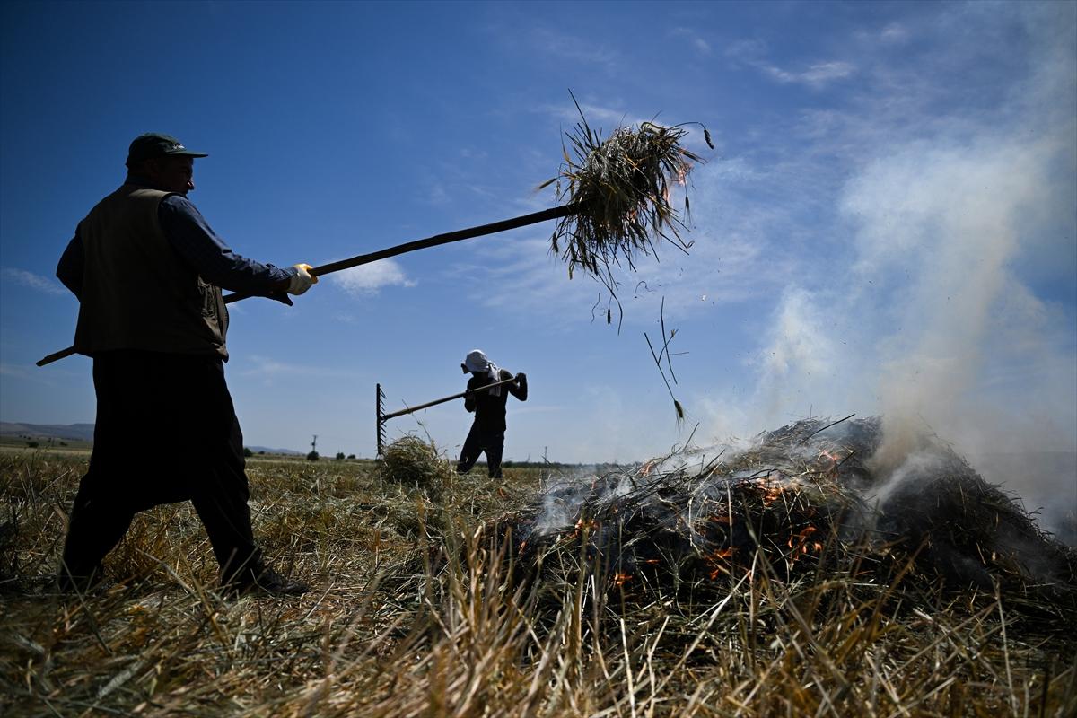 Gaziantep'te coğrafi işaretli firik bulgurunun zorlu yolculuğu başladı