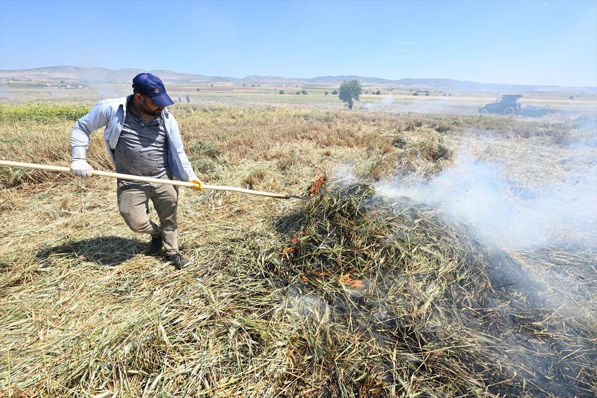 Gaziantep'te coğrafi işaretli firik bulgurunun zorlu yolculuğu başladı