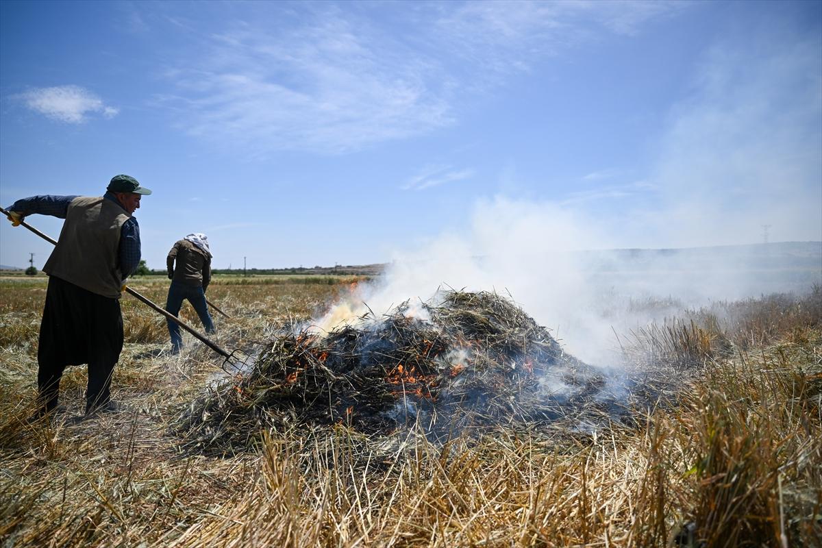 Gaziantep'te coğrafi işaretli firik bulgurunun zorlu yolculuğu başladı
