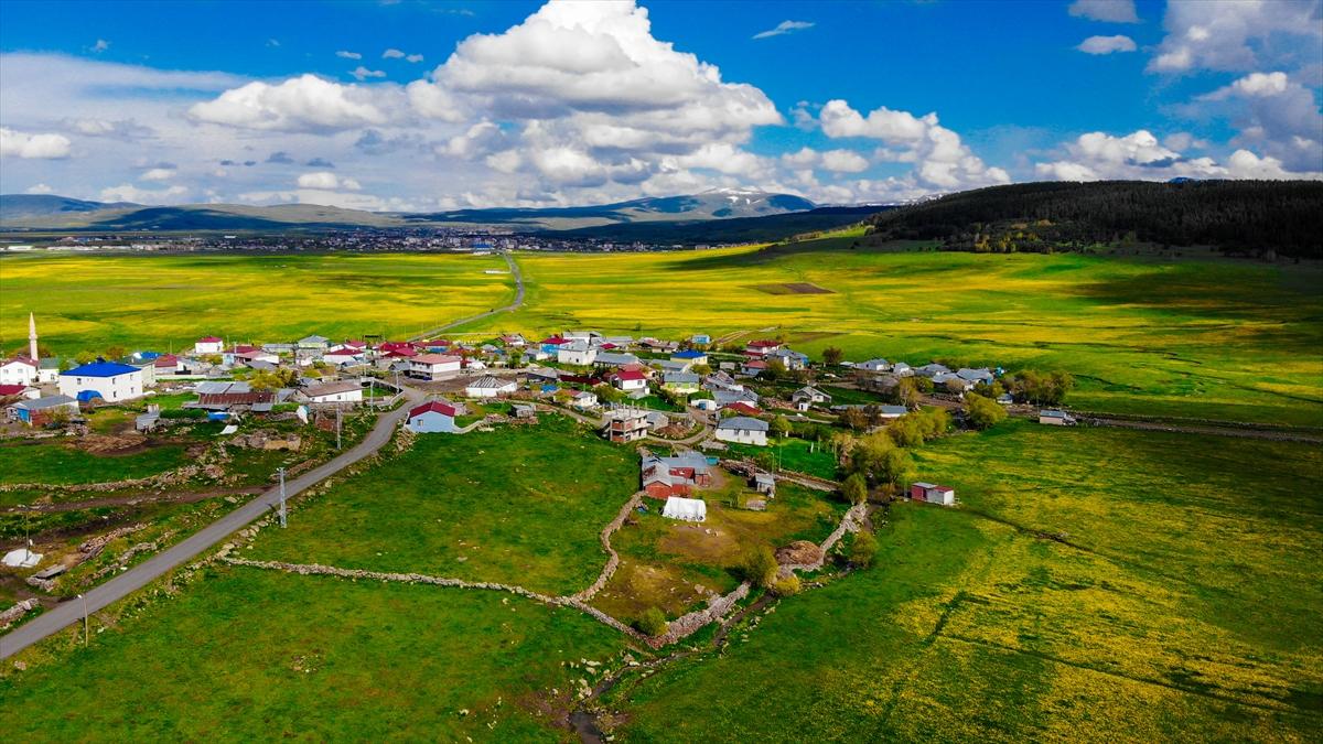 Ardahan'ın köylerine bahar geldi