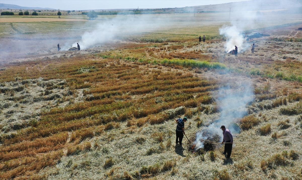 Gaziantep'te coğrafi işaretli firik bulgurunun zorlu yolculuğu başladı