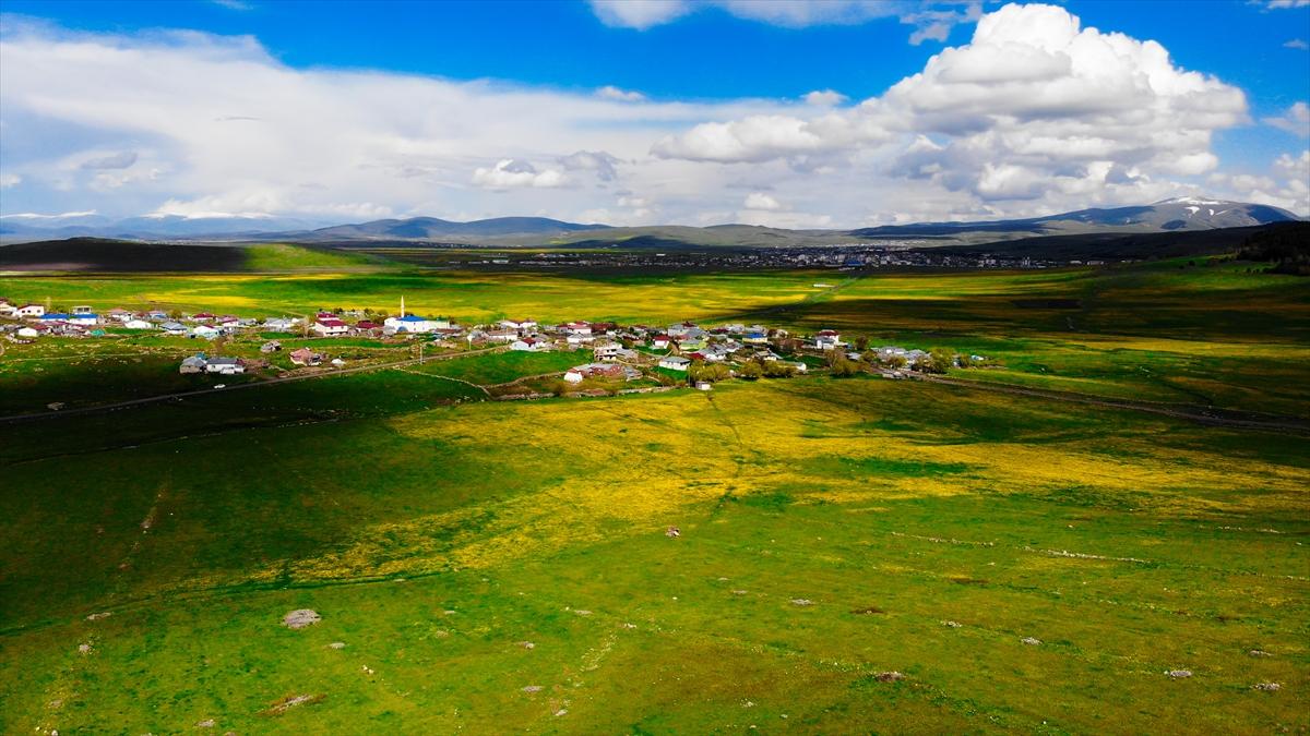 Ardahan'ın köylerine bahar geldi