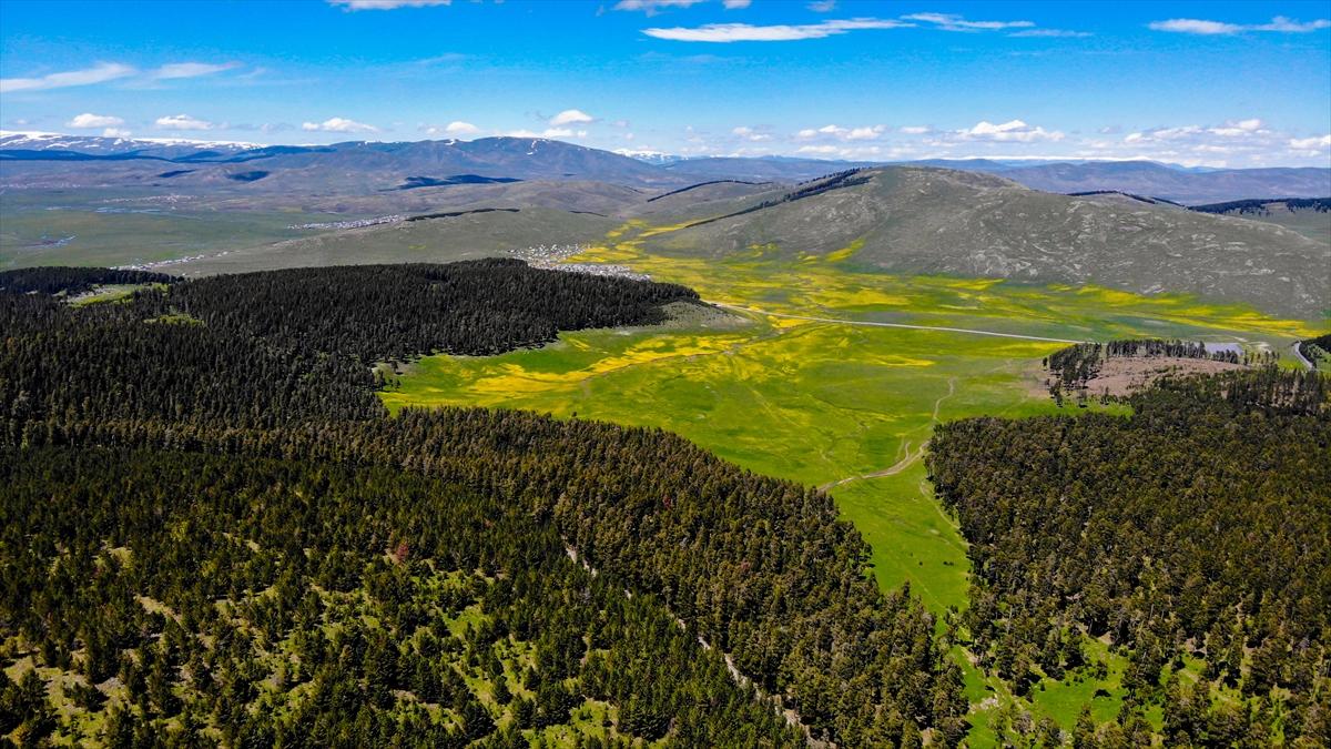 Ardahan'ın köylerine bahar geldi