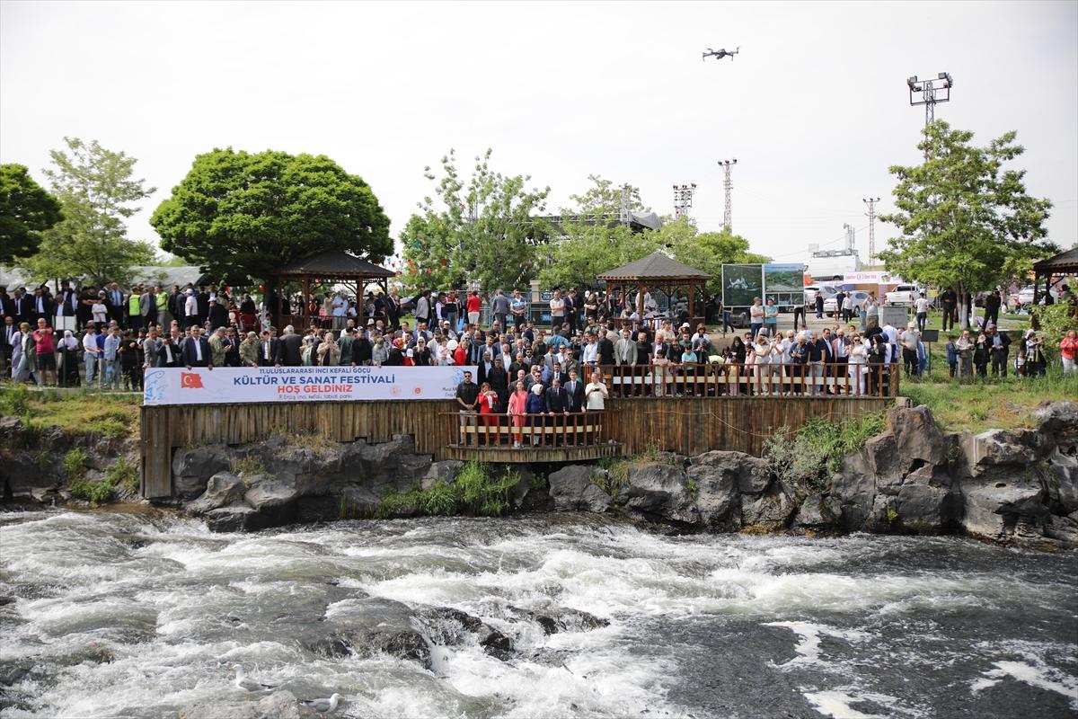 Van Gölü'nde inci kefalinin göç yolculuğu devam ediyor