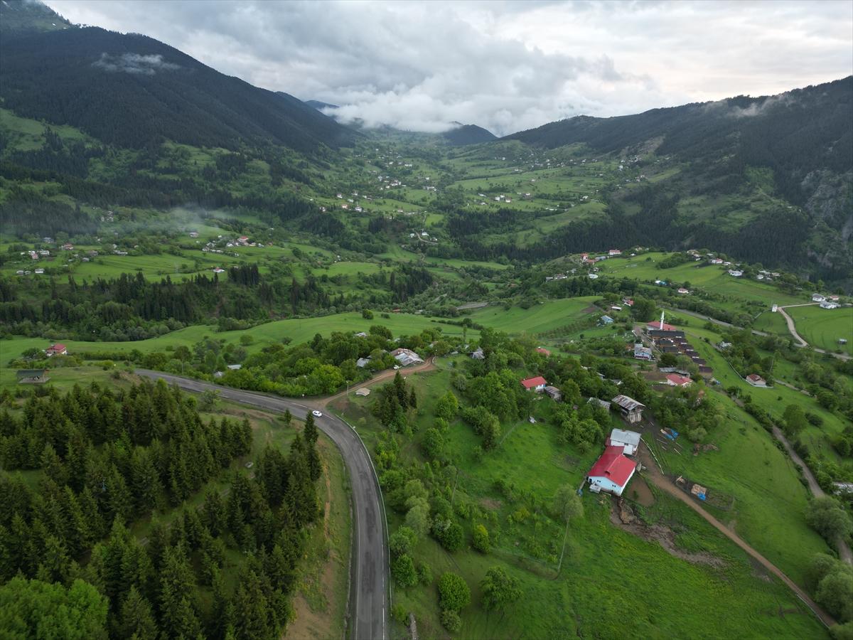 Artvin'in sakin şehri Şavşat turizmi hareketlendirdi