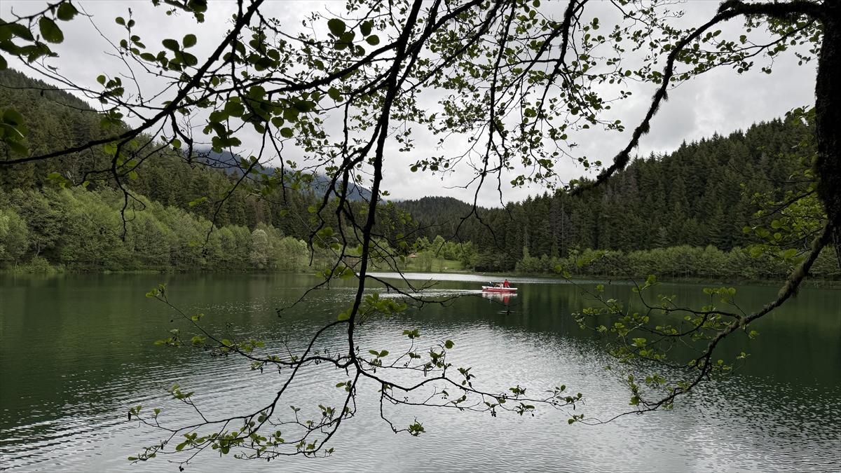 Artvin'in sakin şehri Şavşat turizmi hareketlendirdi