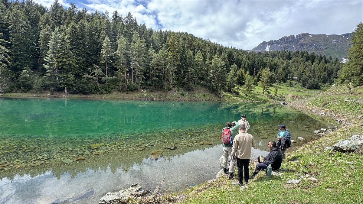 Artvin'in sakin şehri Şavşat turizmi hareketlendirdi