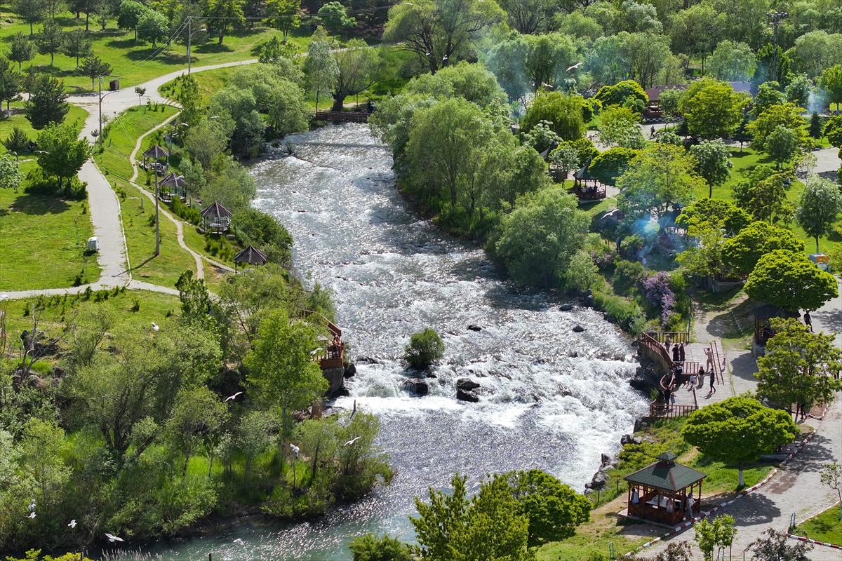 Van Gölü'nde inci kefalinin göç yolculuğu devam ediyor