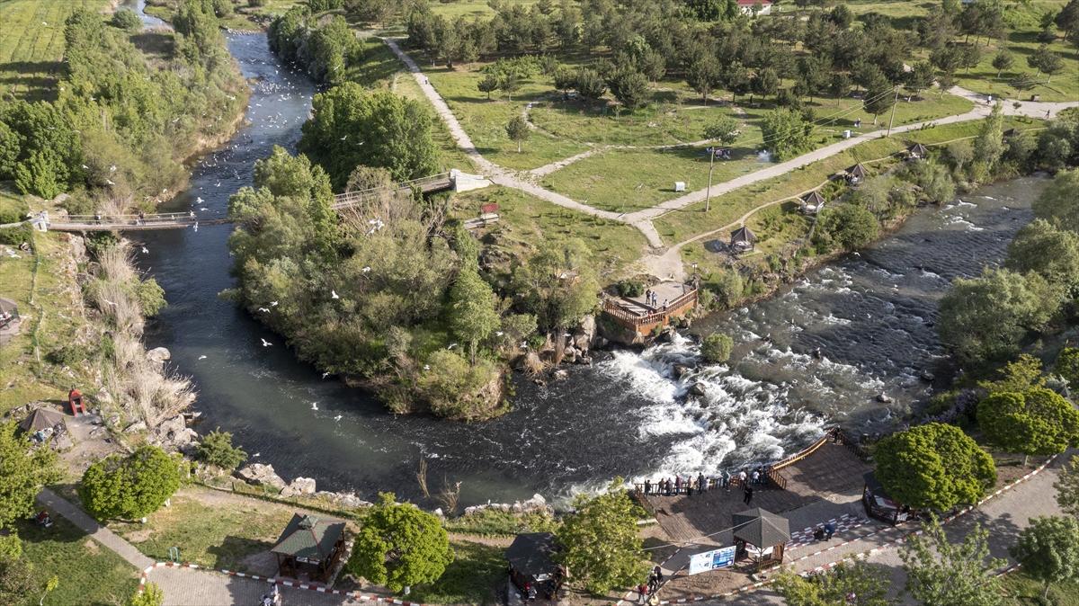 Van Gölü'nde inci kefalinin göç yolculuğu devam ediyor