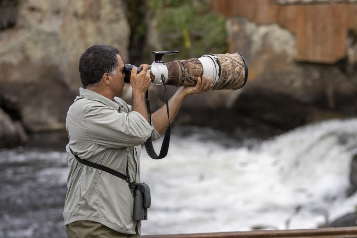 Van Gölü'nde inci kefalinin göç yolculuğu devam ediyor