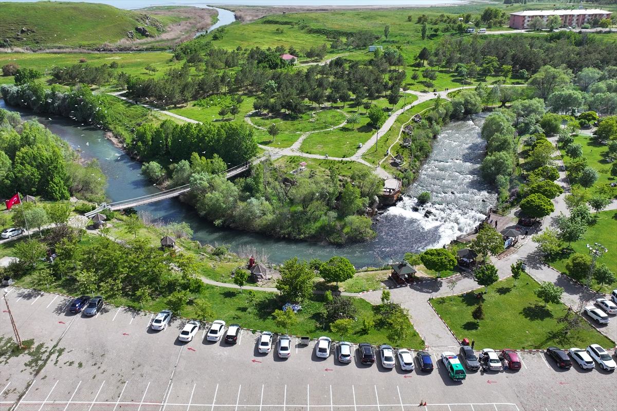 Van Gölü'nde inci kefalinin göç yolculuğu devam ediyor