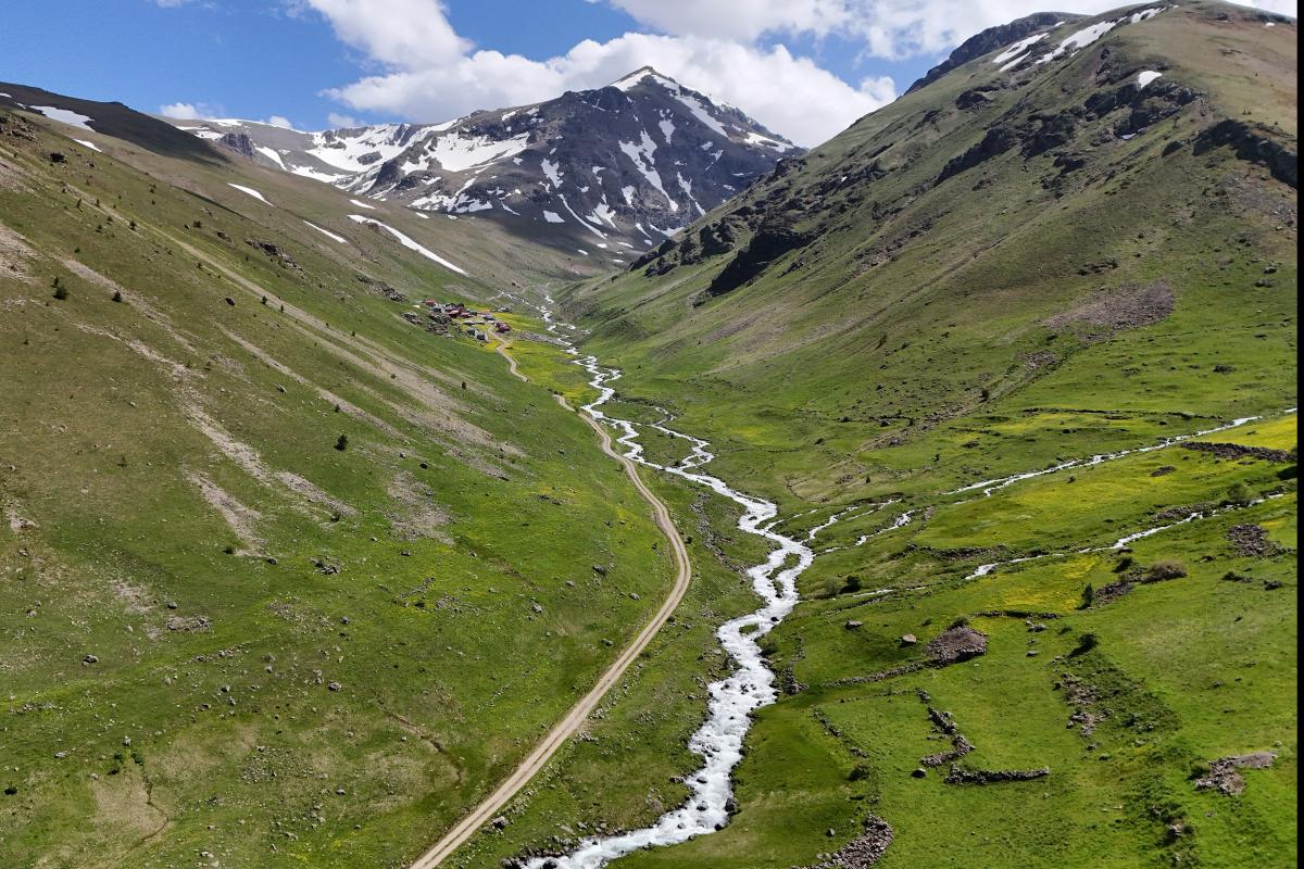 Yazın geldiği Dulağa Yaylası, Alpler'i aratmıyor