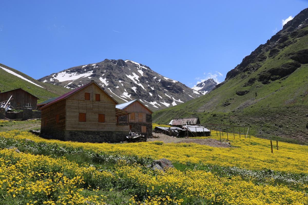 Yazın geldiği Dulağa Yaylası, Alpler'i aratmıyor